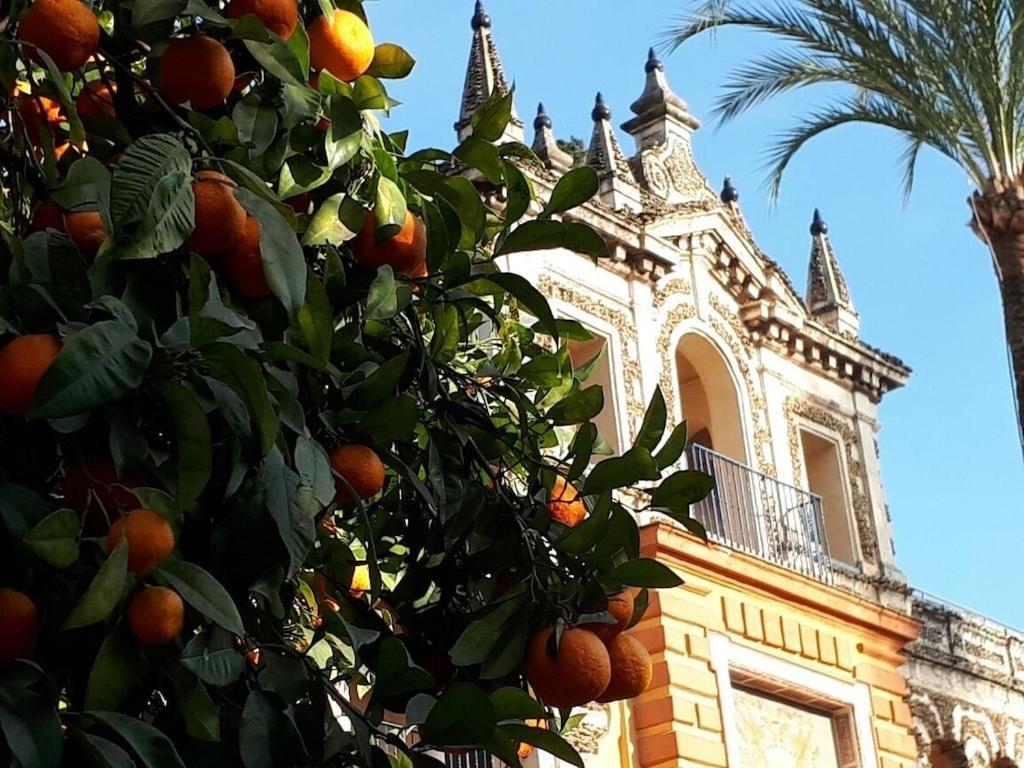 Sidonia, Luxury Historic Modern Townhouse, Swimming Pool, Terraces, Sea View.